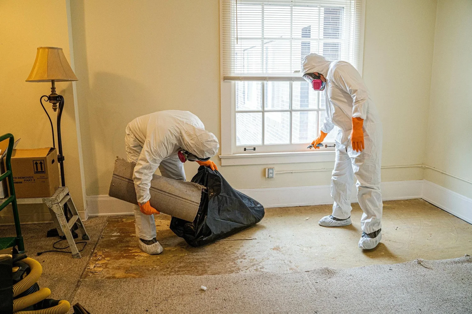 Decontamination work in progress, Seattle WA FL