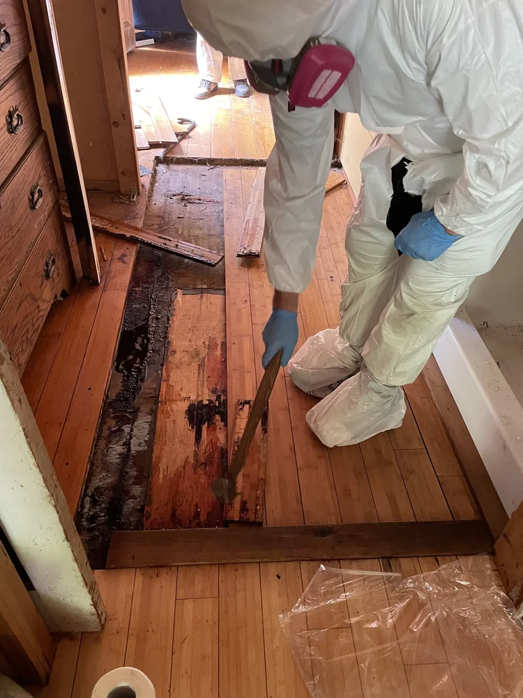 Cleanup and decontamination work, Seattle WA