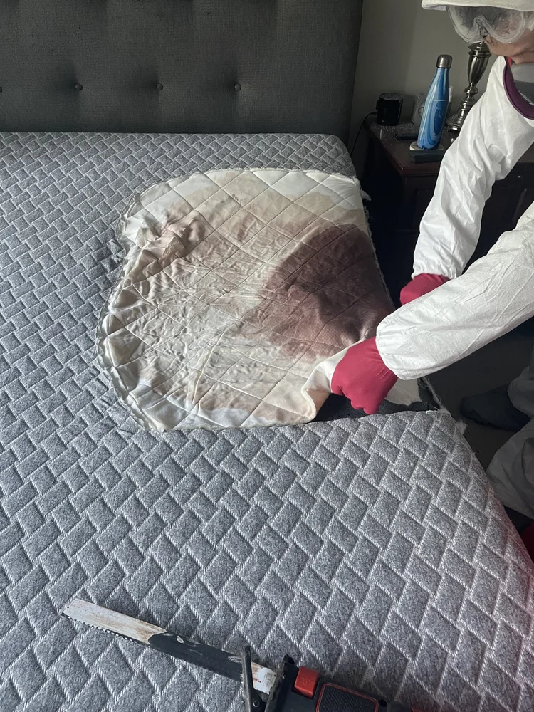Property cleanup and restoration, Seattle WA FL